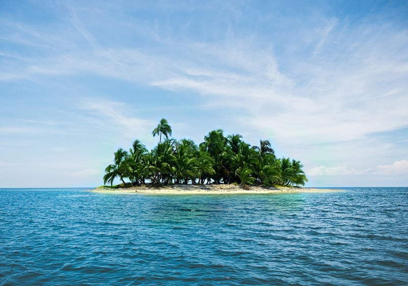 Caribbean Fusion Cuisine